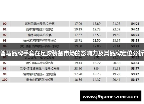 普马品牌手套在足球装备市场的影响力及其品牌定位分析